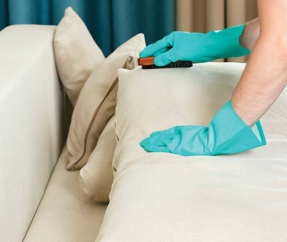 Anti Termite | Pest Control Services | Termite Control Malaysia 