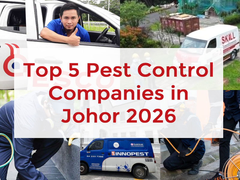 Top 5 Pest Control Companies in Johor Bahru 2026